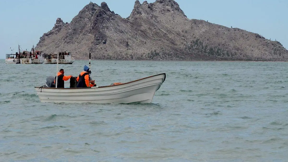 07-03-2023-Pescadores Bahia de Kino-Carlos Villalba (19)